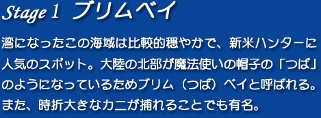 【Stage1】ブリムベイ