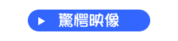 驚愕映像